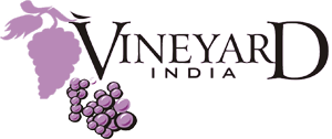 Vineyard India Compassion Trust